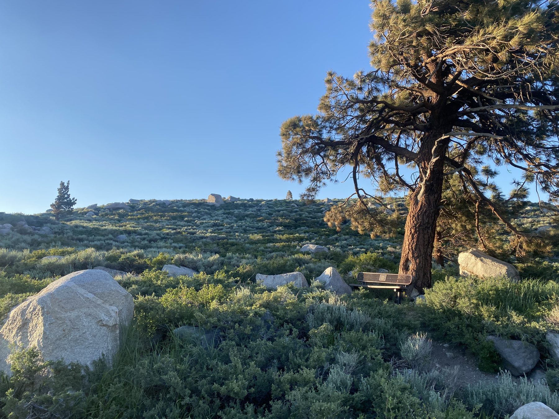 The bench on the Sherwin Vista path, above Old Mammoth Road